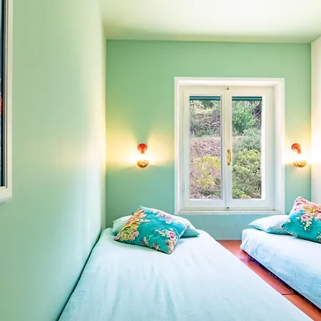 빌라 Casa Dei Colori